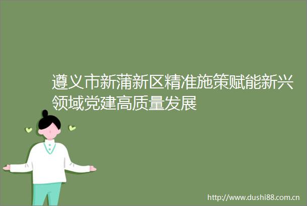 遵义市新蒲新区精准施策赋能新兴领域党建高质量发展