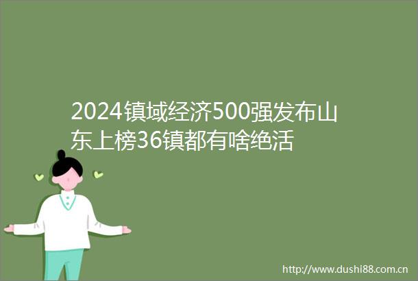 2024镇域经济500强发布山东上榜36镇都有啥绝活