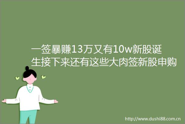 一签暴赚13万又有10w新股诞生接下来还有这些大肉签新股申购