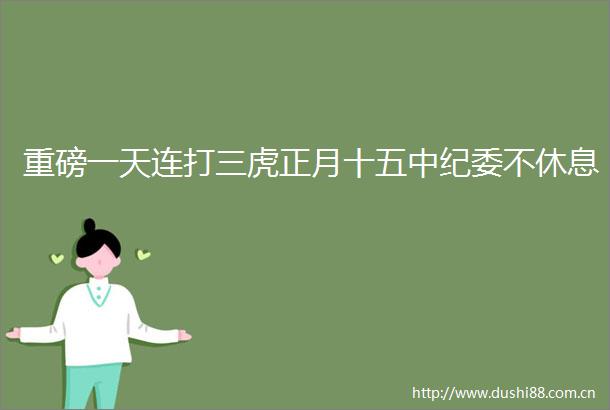 重磅一天连打三虎正月十五中纪委不休息
