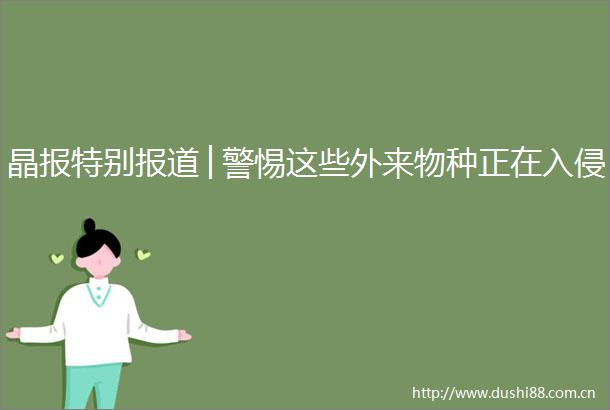 晶报特别报道│警惕这些外来物种正在入侵