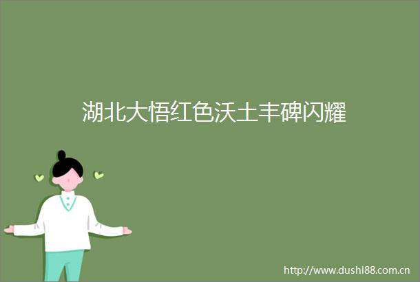 湖北大悟红色沃土丰碑闪耀