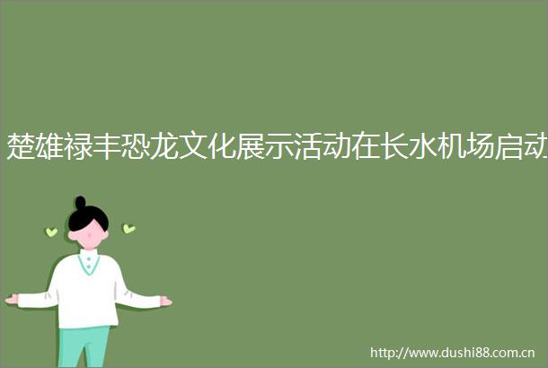 楚雄禄丰恐龙文化展示活动在长水机场启动