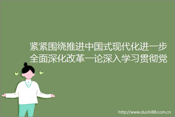 紧紧围绕推进式现代化进一步全面深化改革一论深入学习贯彻党的二十届三中全会精神
