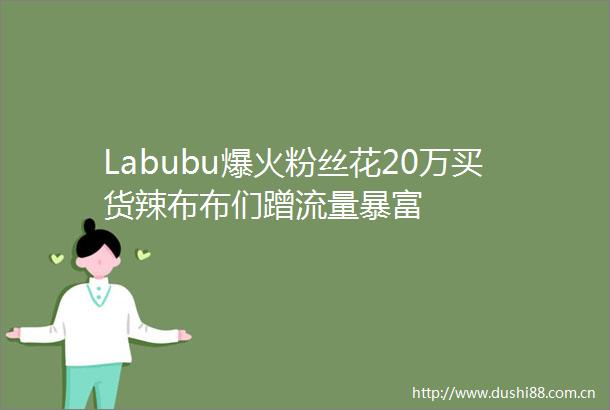 Labubu爆火粉丝花20万买货辣布布们蹭流量暴富