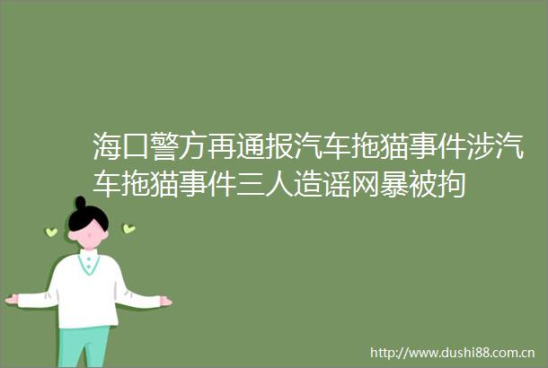 海口警方再通报汽车拖猫涉汽车拖猫三人造谣网暴被拘
