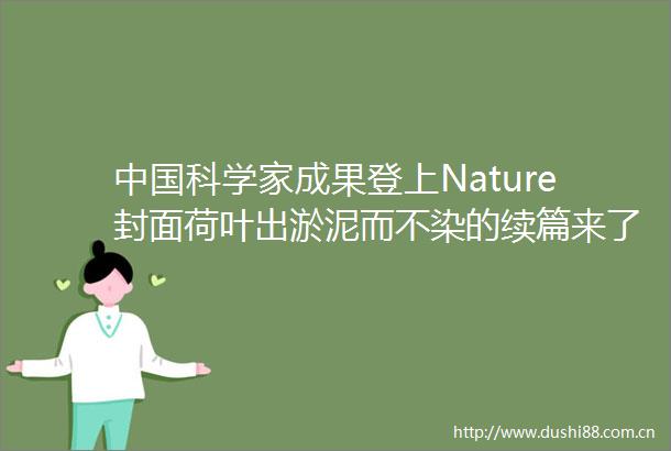科学家成果登上Nature封面荷叶出淤泥而不染的续篇来了