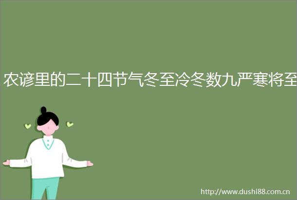 农谚里的二十四节气冬至冷冬数九严寒将至