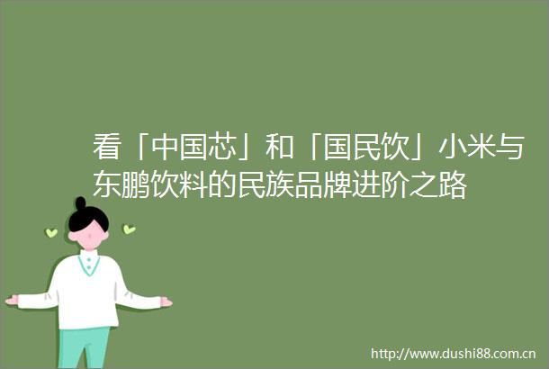 看「芯」和「国民饮」小米与东鹏饮料的民族品牌进阶之路