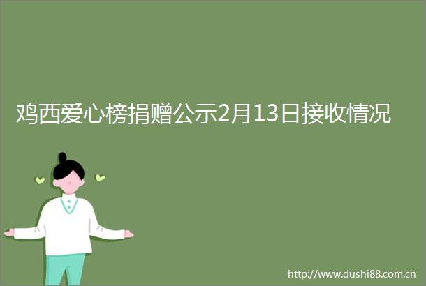 鸡西爱心榜捐赠公示2月13日接收情况