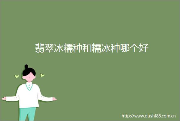 翡翠冰糯种和糯冰种哪个好