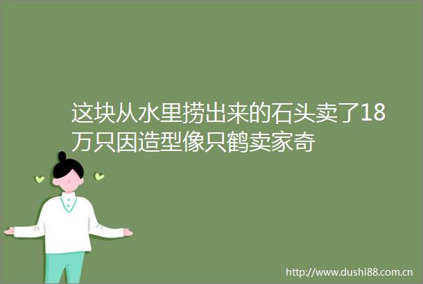 这块从水里捞出来的石头卖了18万只因造型像只鹤卖家奇