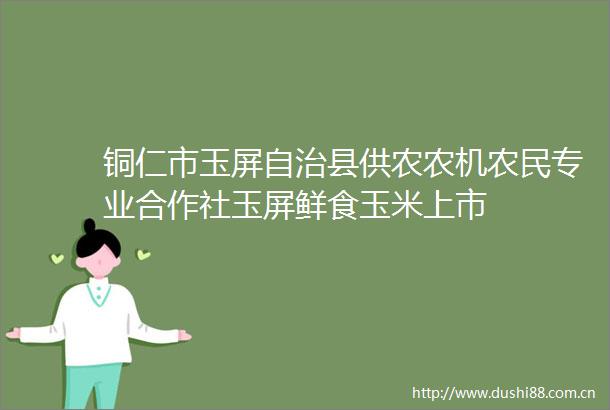 铜仁市玉屏自治县供农农机农民专业合作社玉屏鲜食玉米上市