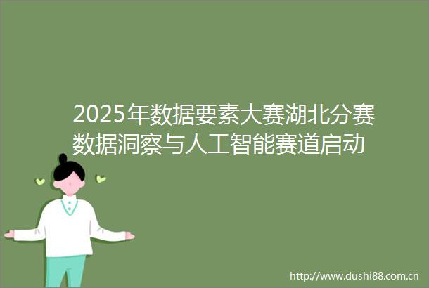 2025年数据要素大赛湖北分赛数据洞察与人工智能赛道启动
