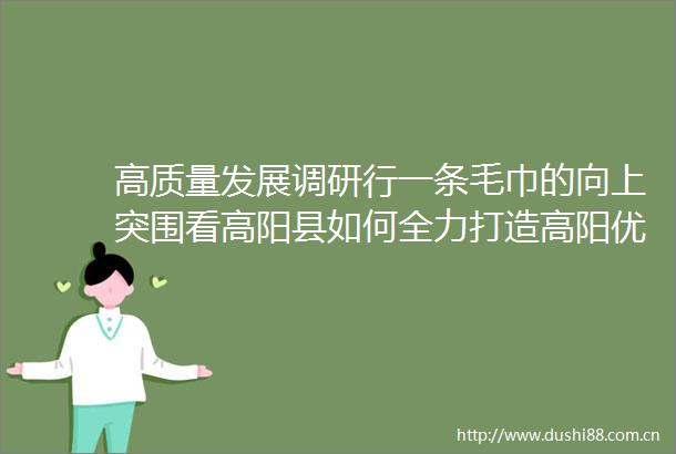 高质量发展调研行一条毛巾的向上突围看高阳县如何全力打造高阳优品集体品牌