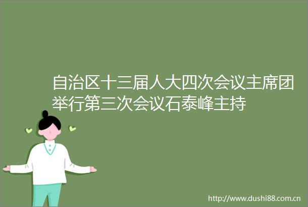 自治区十三届人大四次会议团举行第三次会议石泰峰主持
