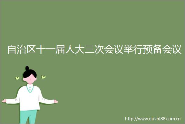 自治区十一届人大三次会议举行预备会议