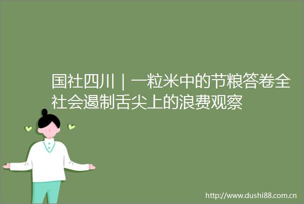 国社四川｜一粒米中的节粮答卷全社会遏制舌尖上的浪费观察
