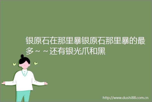 银原石在那里暴银原石那里暴的最多～～还有银光爪和黑