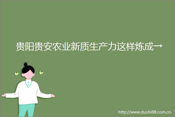 贵阳贵安农业新质生产力这样炼成→