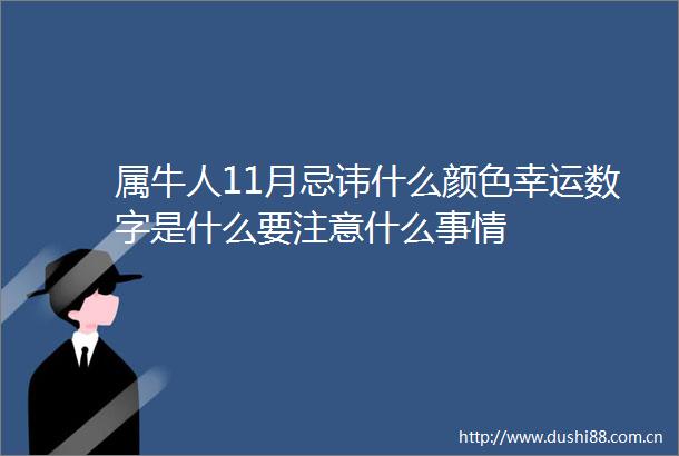 属牛人11月忌讳什么颜色幸运数字是什么要注意什么事情