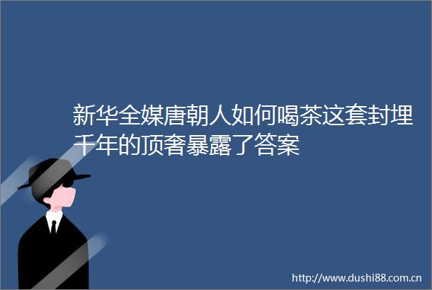 新华全媒唐朝人如何喝茶这套封埋千年的顶奢了答案