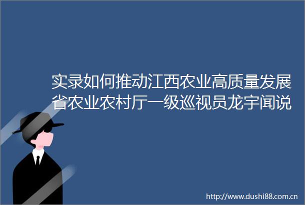 实录如何推动江西农业高质量发展省农业农村厅一级巡视员龙宇闻说了什么