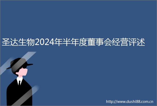 圣达生物2024年半年度董事会经营评述