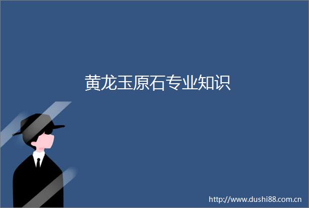 黄龙玉原石专业知识