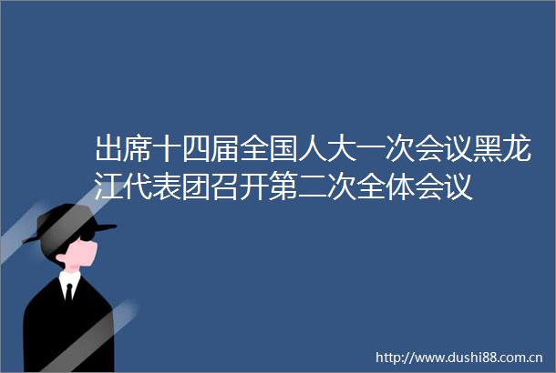 出席十四届全国人大一次会议黑龙江代表团召开第二次全体会议