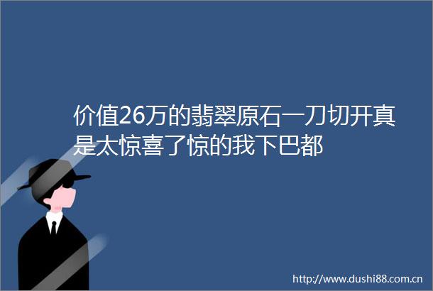 价值26万的翡翠原石一刀切开真是太惊喜了惊的我下巴都