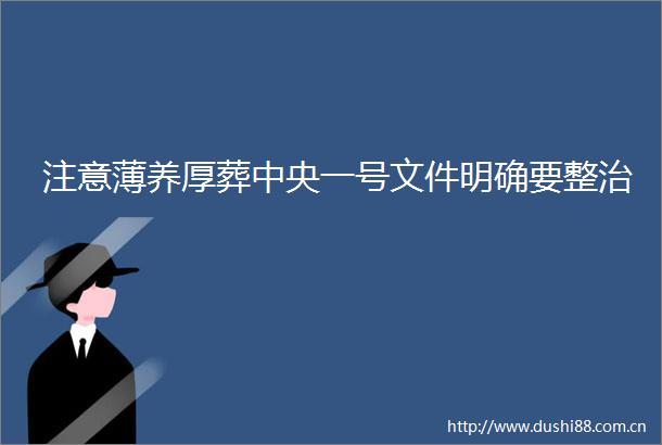 注意薄养厚葬中央一号文件明确要整治