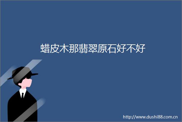 蜡皮木那翡翠原石好不好