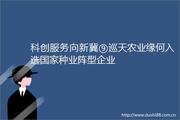 科创服务向新冀⑨巡天农业缘何入选种业阵型企业
