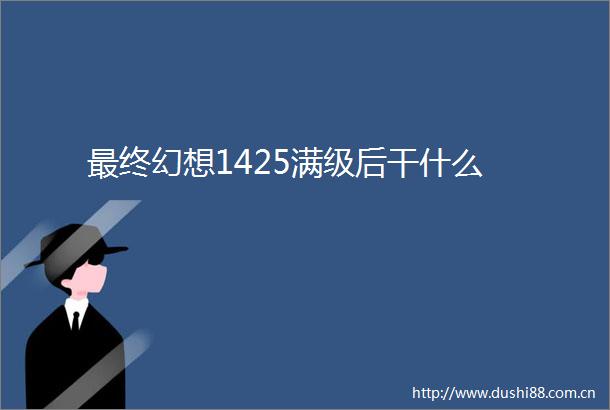 最终幻想1425满级后干什么