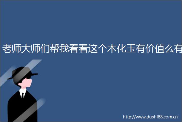 老师大师们帮我看看这个木化玉有价值么有
