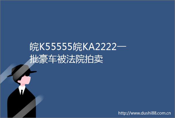 皖K55555皖KA2222一批豪车被拍卖
