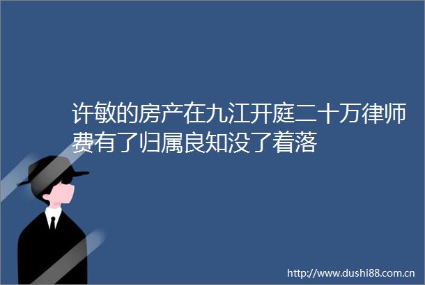 许敏的房产在九江开庭二十万律师费有了归属良知没了着落