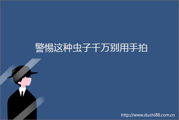 警惕这种虫子千万别用手拍