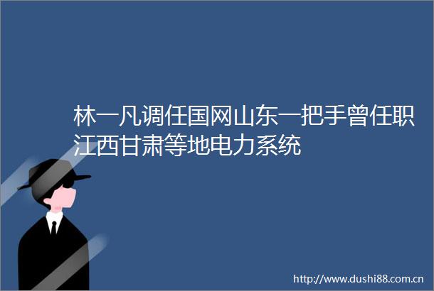 林一凡调任国网山东一把手曾任职江西甘肃等地电力系统