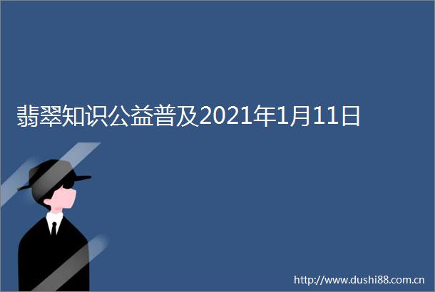 翡翠知识公益普及2021年1月11日