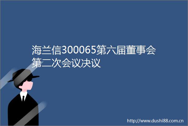 海兰信300065第六届董事会第二次会议决议