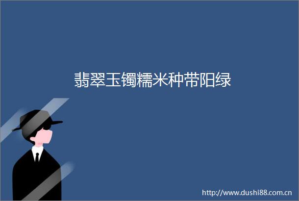 翡翠玉镯糯米种带阳绿