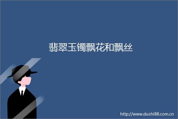 翡翠玉镯飘花和飘丝