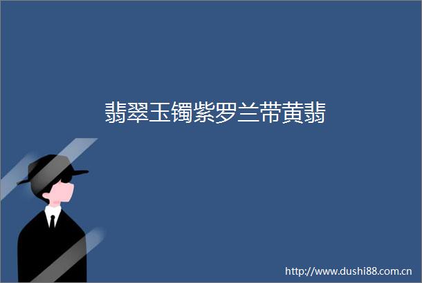 翡翠玉镯紫罗兰带黄翡