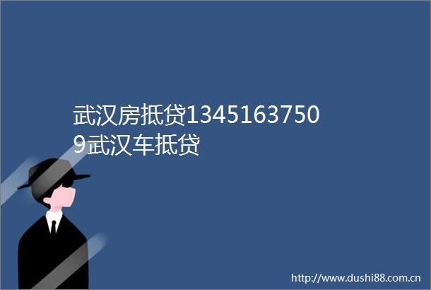 武汉房抵贷13451637509武汉车抵贷