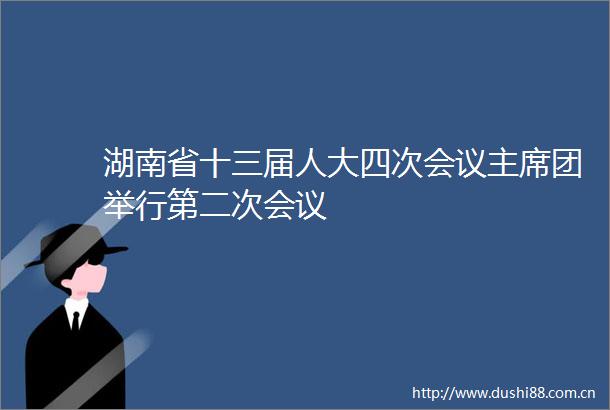 湖南省十三届人大四次会议团举行第二次会议