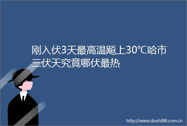 刚入伏3天最高温飚上30℃哈市三伏天究竟哪伏最热
