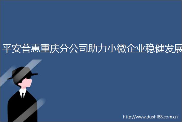 平安普惠重庆分公司助力小微企业稳健发展