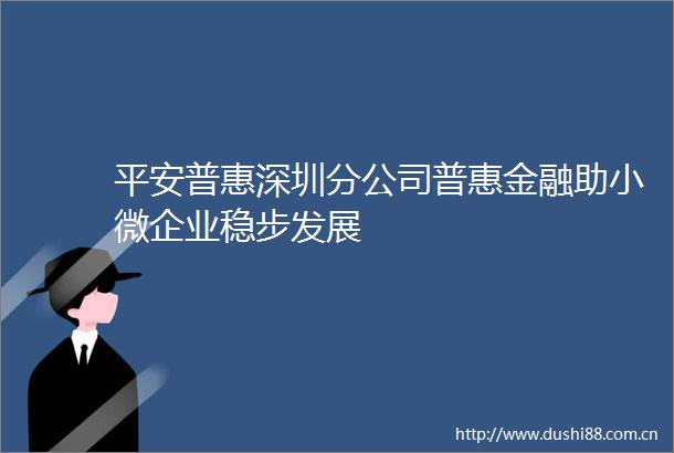 平安普惠深圳分公司普惠金融助小微企业稳步发展
